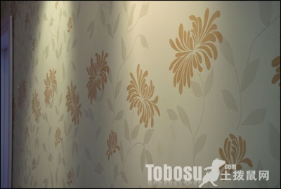 液体壁纸品牌施工效果等等