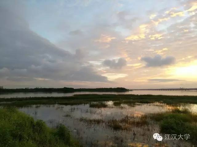 姹熷ぇ缇庢櫙,濮滃ぇ缇庝附