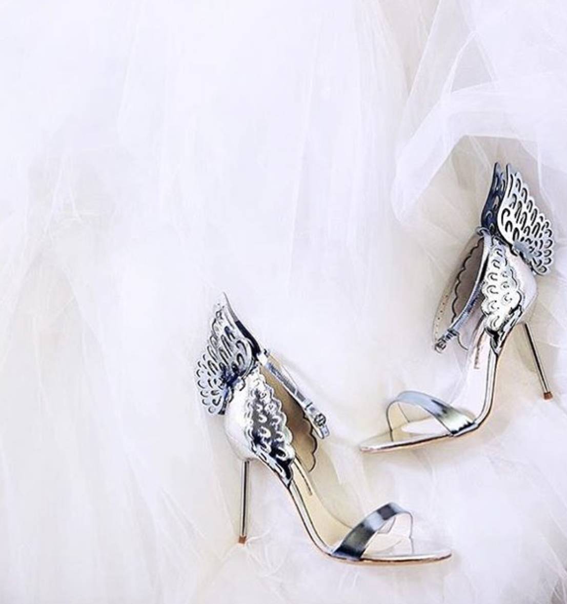 娱乐圈的虐狗行为,娱乐圈虐狗事件