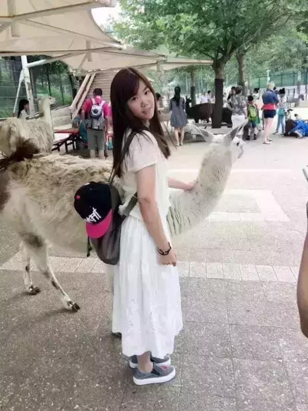 传说中的别人家的孩子多才多艺,郑州外国语学校学生真实现状