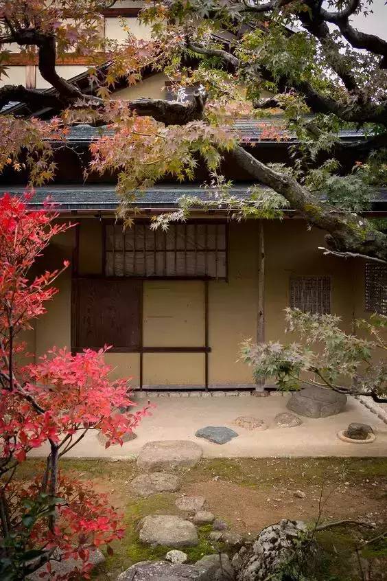 精品|怎么就让游客非买不可，看渗入骨髓的日本抹茶文化