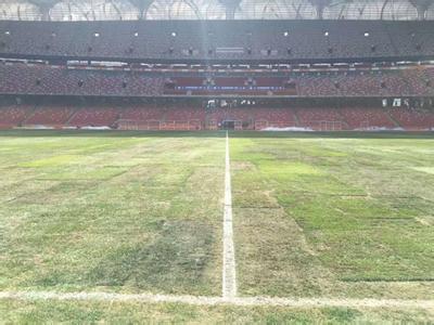 鸟巢曼市德比乐视,16年鸟巢曼市德比