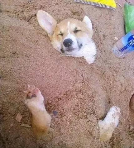 十条笑话,十条短笑话