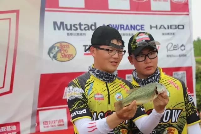 卧龙湖旅游攻略,卧龙山游记600字