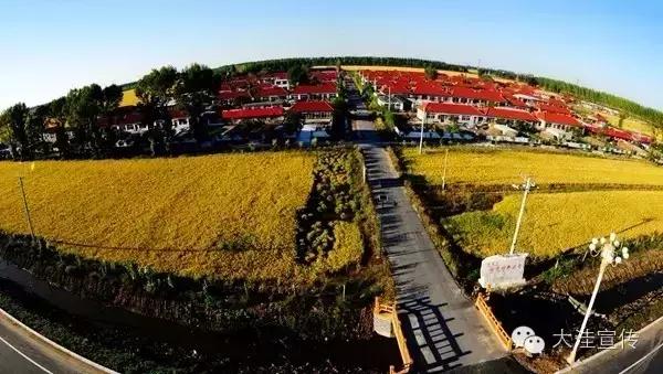 五载流金岁月　铸就风华大洼