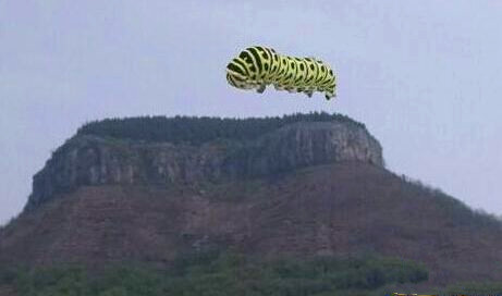 这就是高富帅和你的区别