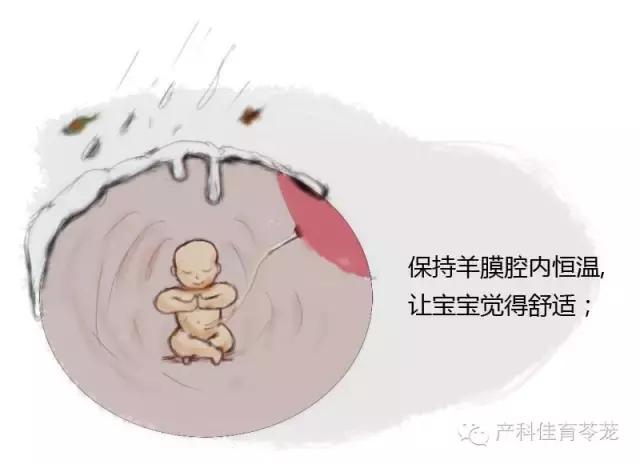 羊水过多和过少的原因,怎么预防羊水过多或过少