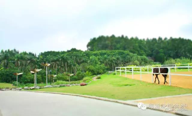 南京七夕开车约会指南,七夕约会流程安排重庆