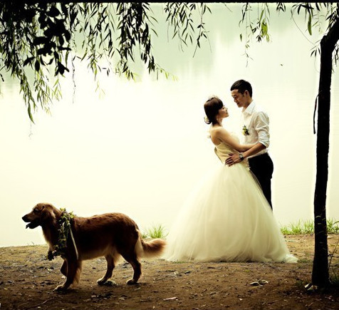 如果你能陪狗狗度过一生，你能不能这样？