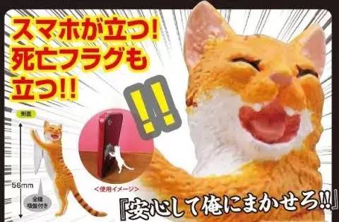 什么萌物好养又干净又便宜,萌物推荐