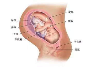 孕宝旅程---39周啦