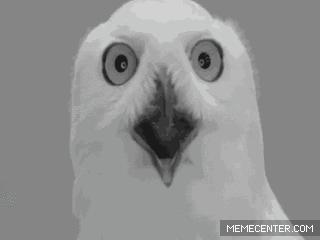 唐山：游泳池里忒乱，居然有浑水摸女孩儿胸的