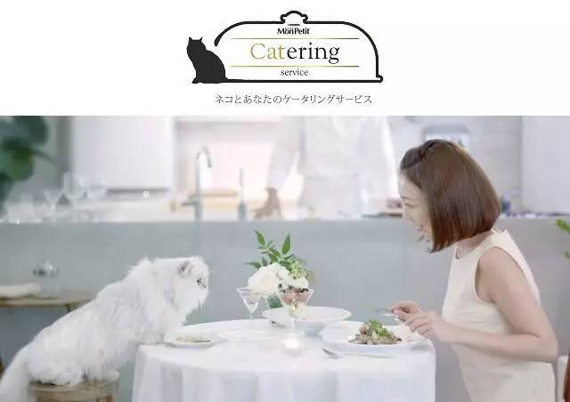 lifeistough｜比起鸡汤你可能更需要来一场暖心日本行