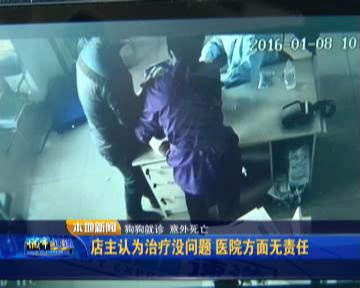 狗子脖子长了包有脓,狗脖子下面长疮怎么办