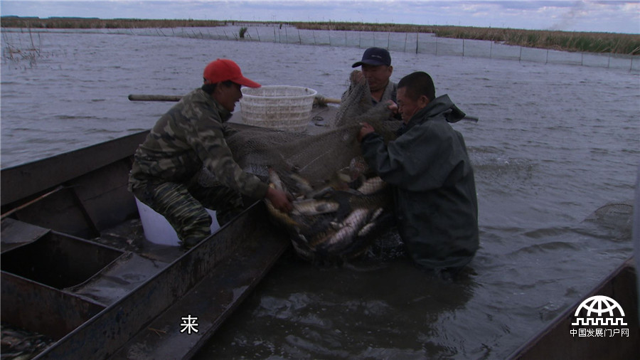致富经养鱼一年多卖1000万,致富经一亩地赚过亿