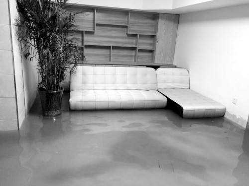 丽晶公馆停水,丽晶一期东边户下大雨返潮