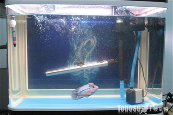 加热棒的正确使用方法成人,加热棒使用的时候需要注意什么