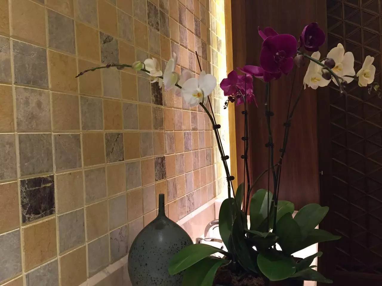 巴厘岛spa按摩店,去巴厘岛spa按摩