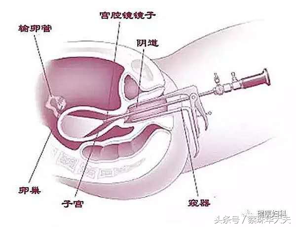 医生最讨厌的4种人,医生最讨厌的几种病人