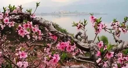 辽宁景点门票,辽宁省景点大全一览表