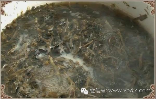 解毒散结的药排名第一,十大解毒药排名