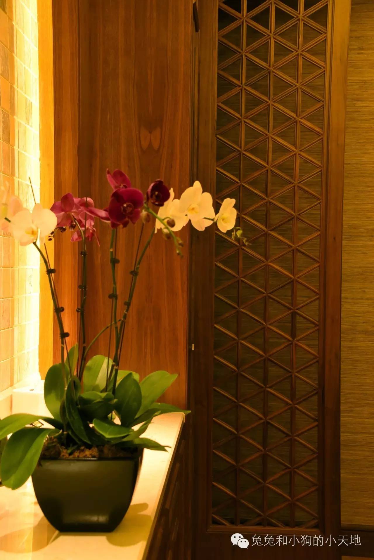 来到巴厘岛的文案,欢迎来到巴厘岛语音