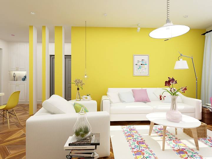 高级家装装修设计案例,家装创意案例小户型