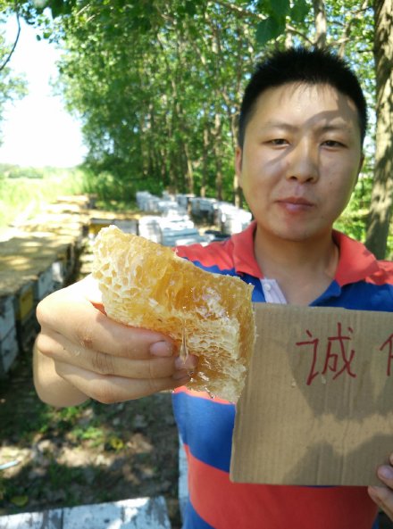 你见过可以嚼着吃的蜂蜜吗,像口香糖样嚼着吃的蜂蜜