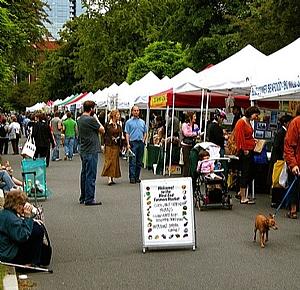 8月6日-8月12日大温一周精彩活动一起来看流星雨吧!