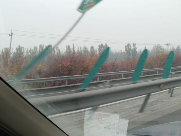 “射鸡”历险记打鸡血然后。