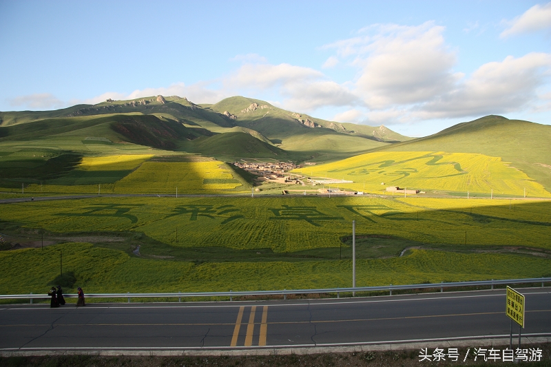 洛克之路卓尼段是从哪到哪,洛克之路路过卓尼县吗