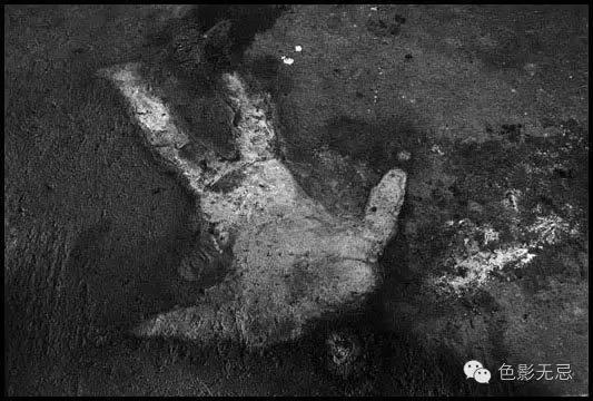 经历了枪林弹雨的岁月,经历了战场的腥风血雨