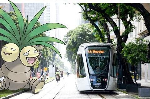 你距离里约奥运会,只有一碟“番茄炒蛋”的距离