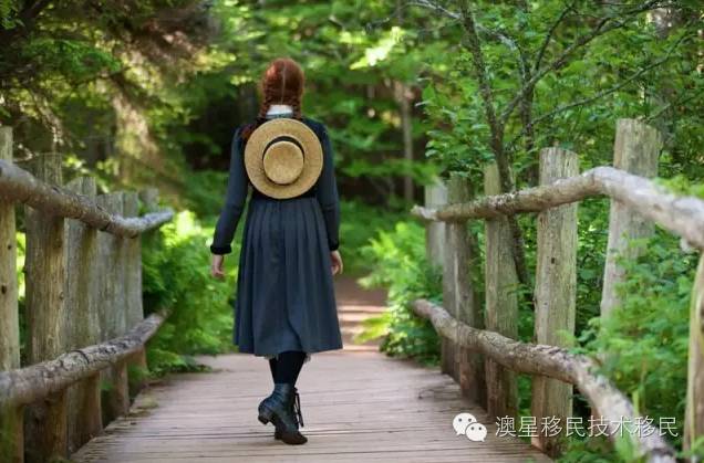 爱德华王子岛十大景点,爱德华王子岛值得去吗