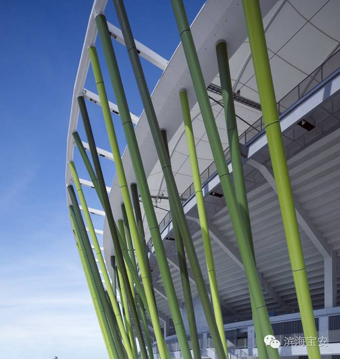 里约奥运冠军来香港,里约奥运会开幕式巴西运动员进场