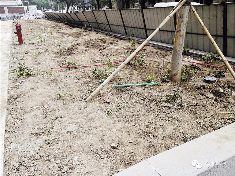 <html>
<head><title>502BadGateway</title></head>
<body>
<center><h1>502BadGateway</h1></center>
<hr><center>nginx</center>
</body>
</html>
<!--apaddingtodisableMSIEandChromefriendlyerrorpage-->
<!--apaddingtodisableMSIEandChromefriendlyerrorpage-->
<!--apaddingtodisableMSIEandChromefriendlyerrorpage-->
<!--apaddingtodisableMSIEandChromefriendlyerrorpage-->
<!--apaddingtodisableMSIEandChromefriendlyerrorpage-->
<!--apaddingtodisableMSIEandChromefriendlyerrorpage-->
