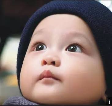 玻璃化冷冻胚胎1和2的区别,玻璃化冷冻卵