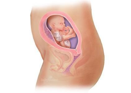 惊奇宝宝第一季,怀孕过程中的十大惊奇发现