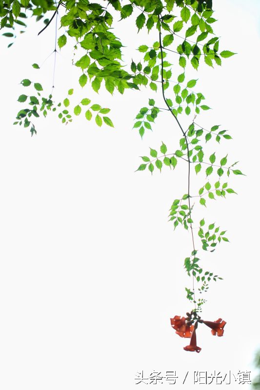 女人了解女人是什么意思,女人是怎么了解男人的