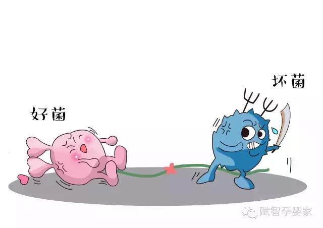 宝宝腹泻湿疹吃哪种益生菌,婴儿湿疹每天也拉大便吃益生菌