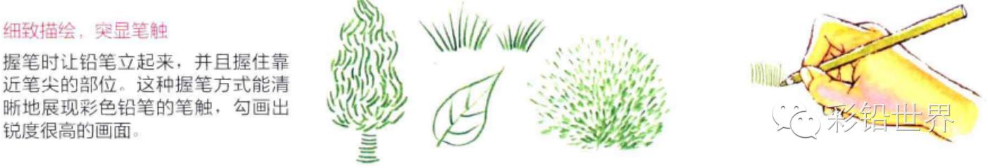 水溶性彩色铅笔怎么玩,初学者使用什么样的彩色铅笔