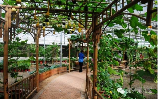 宁波出发高铁4-5小时能到哪里,宁波出发坐高铁三日游推荐