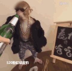 全是钱的搞笑段子,搞笑段子全是钱