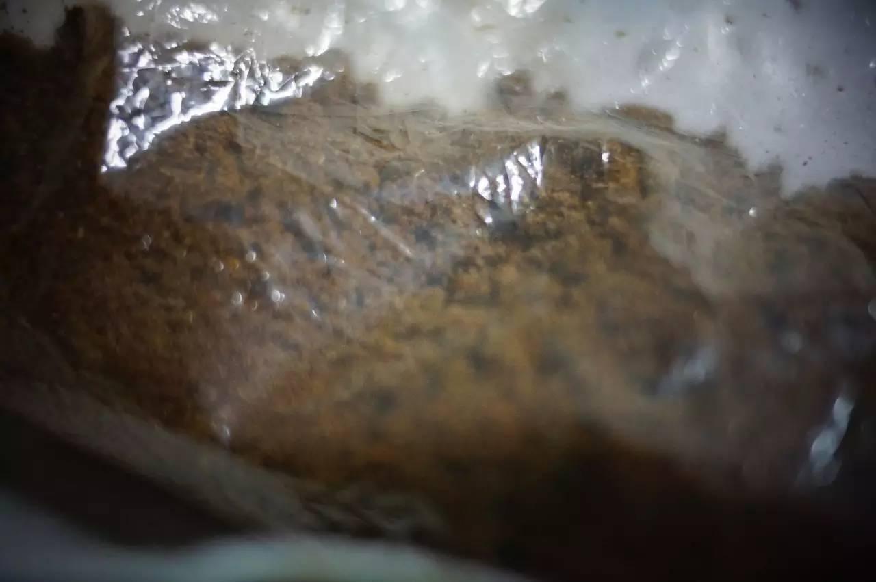 莺歌绿奇楠什么价,人工种植的莺歌绿奇楠多少钱