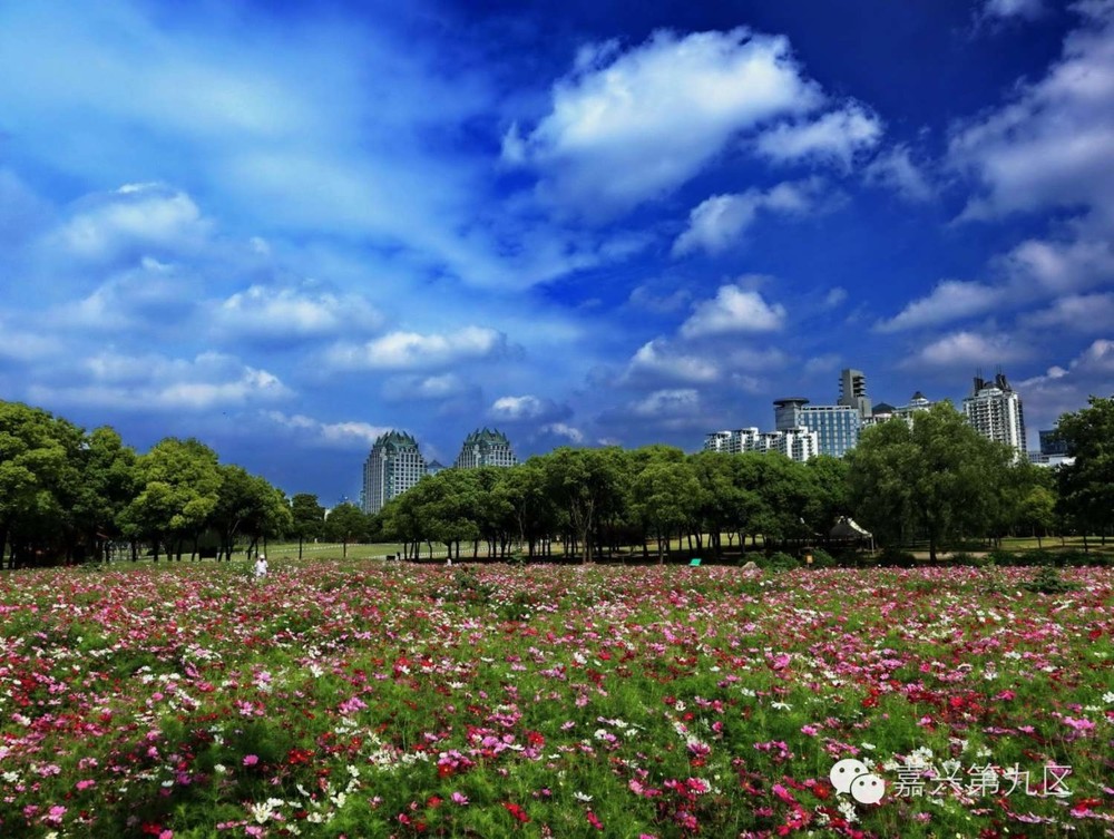 宁波出发高铁4-5小时能到哪里,宁波出发坐高铁三日游推荐