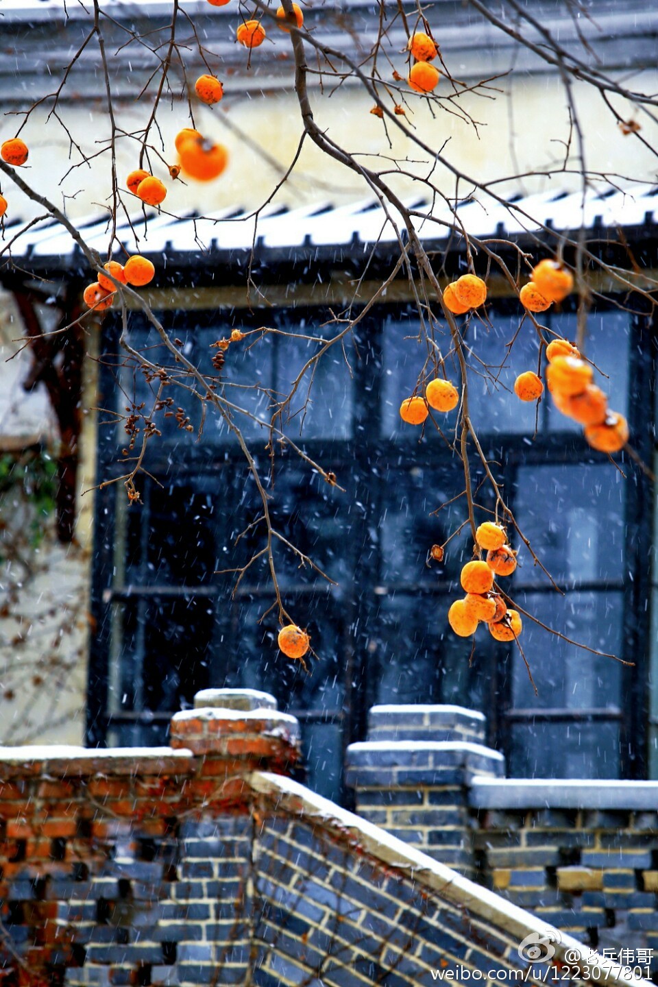 旅顺口哪个地方适合居住,住下来才知道旅顺口有多好