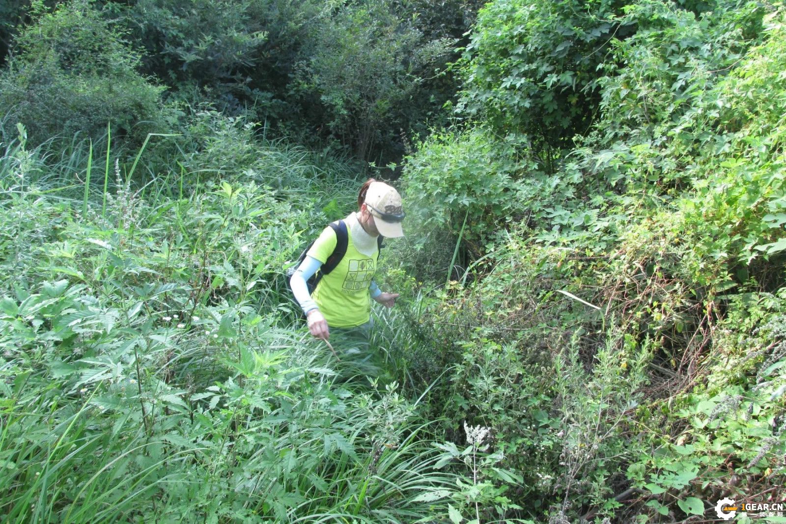 锋芒必露的效果,锋芒毕露战法