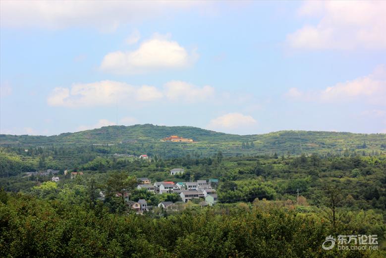 宁波最美风车公路,宁波最美公路