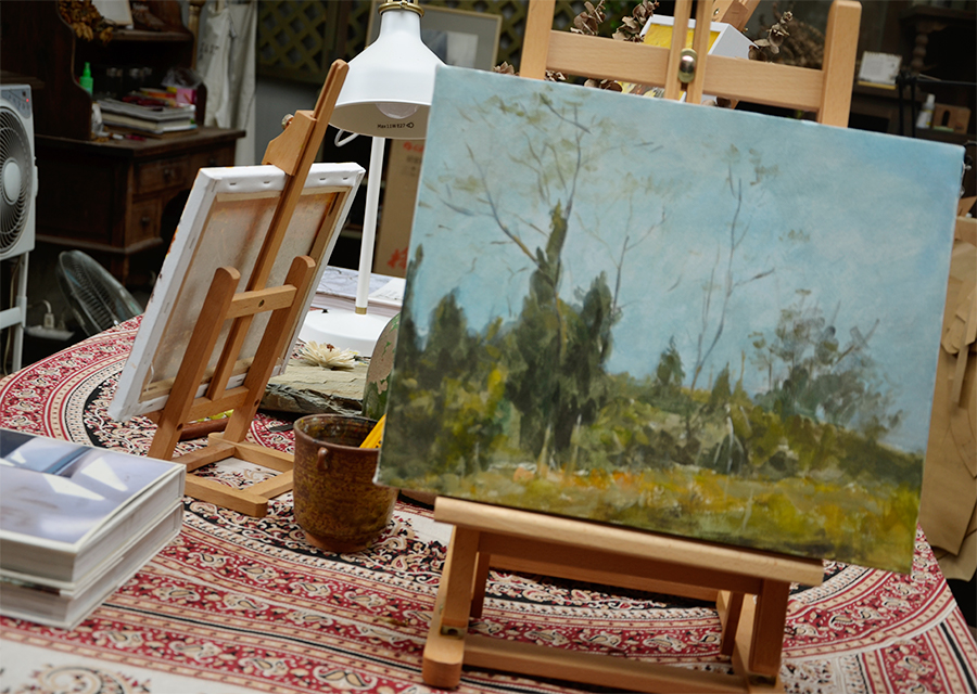 在成都去桃花源,成都桃花源生活