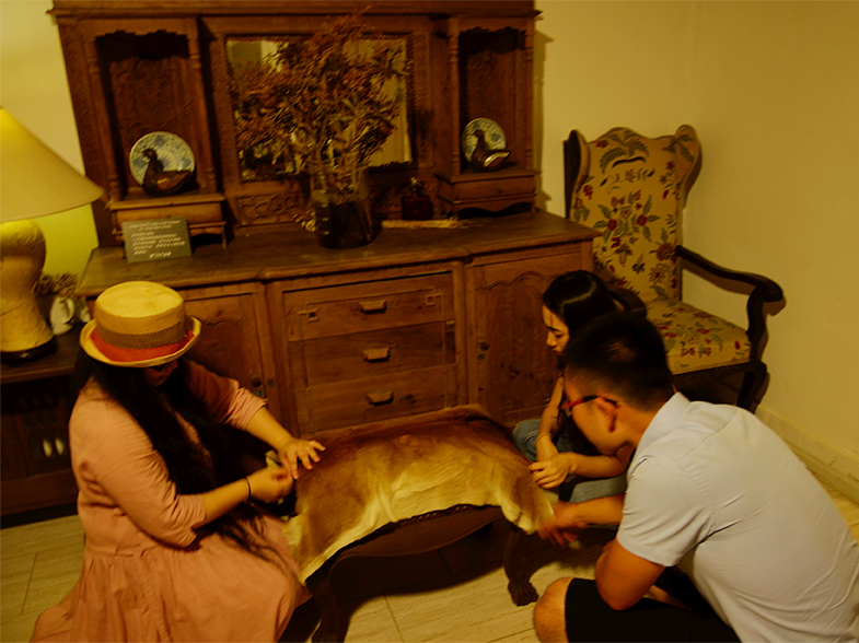 在成都去桃花源,成都桃花源生活